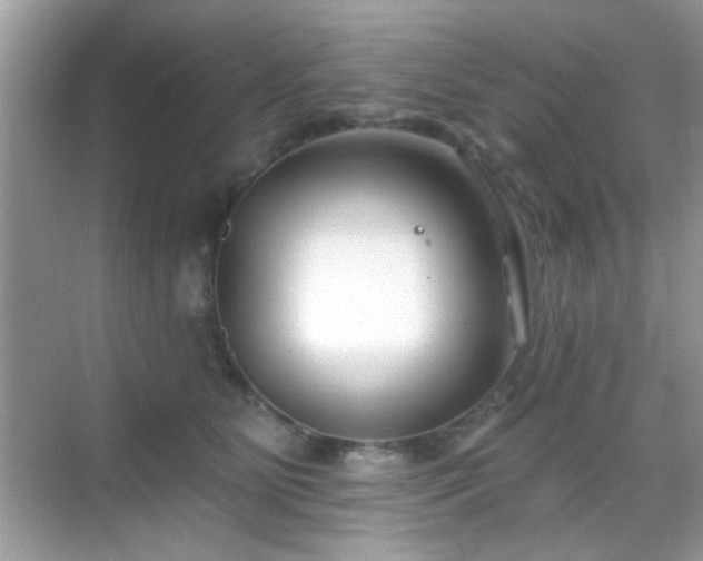 X0000069360515200605121120