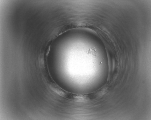 X0000069360516200605121120