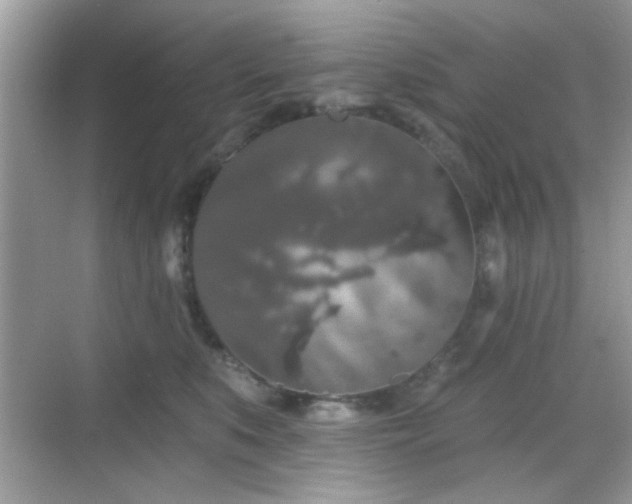 X0000069360519200605121120