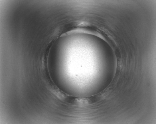 X0000069360520200605121120