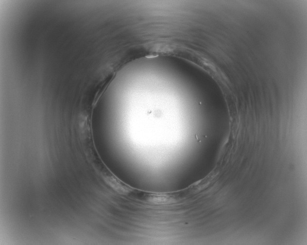 X0000069360521200605121120