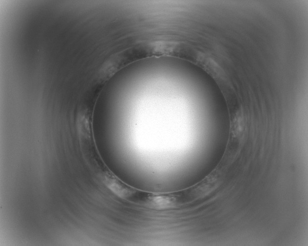 X0000069360522200605121120