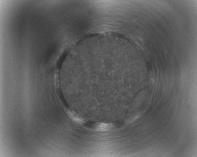 X0000069360527200605121120