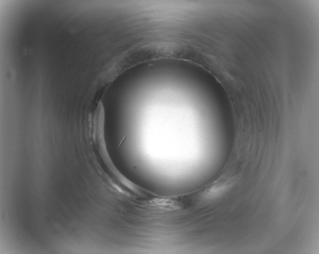 X0000069360528200605121120