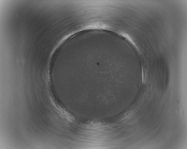 X0000069360531200605121119