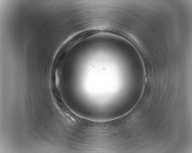 X0000069360532200605121119