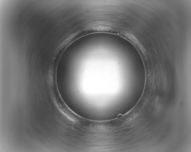 X0000069360533200605121119