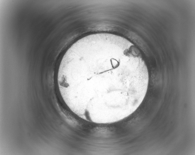 X0000069360534200605121119