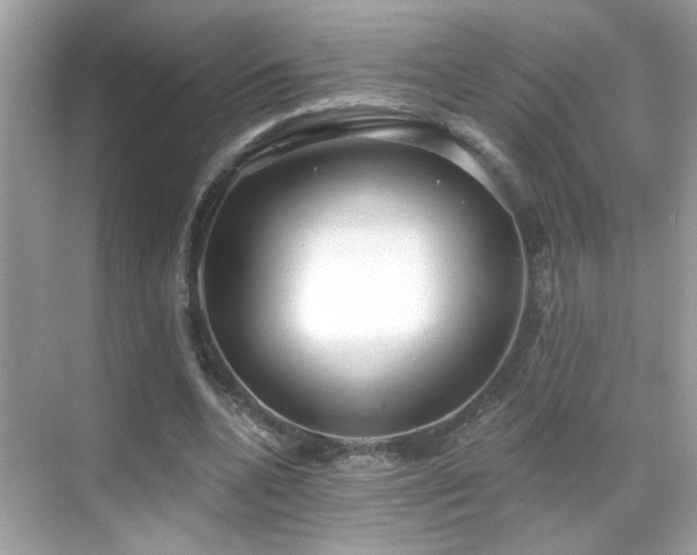 X0000069360536200605121119