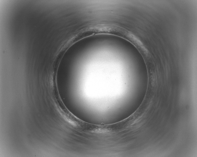 X0000069360537200605121119