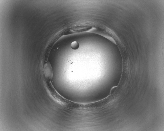 X0000069360538200605121119