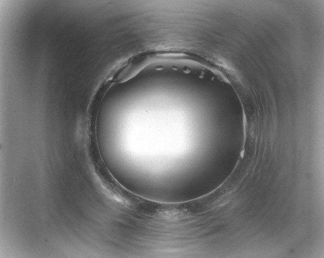 X0000069360540200605121119