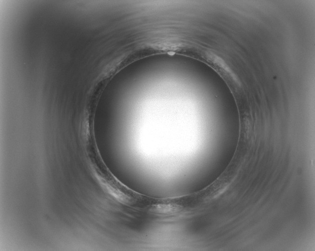 X0000069360541200605121119