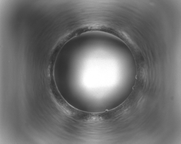 X0000069360543200605121119