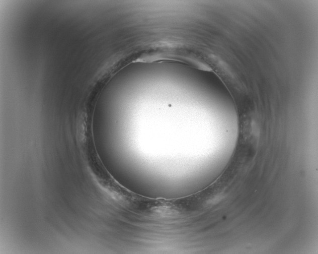 X0000069360544200605121119