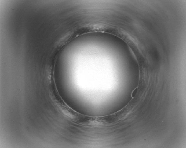 X0000069360545200605121119