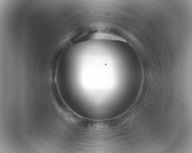 X0000069360546200605121119