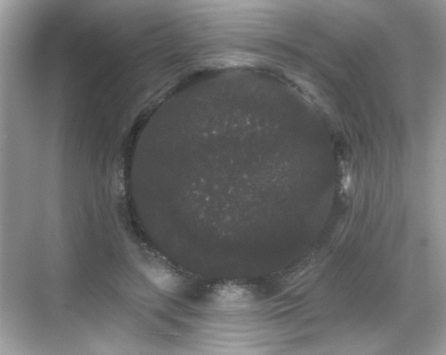 X0000069360547200605121119