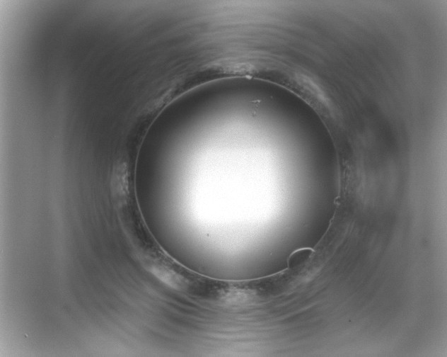 X0000069360549200605121119