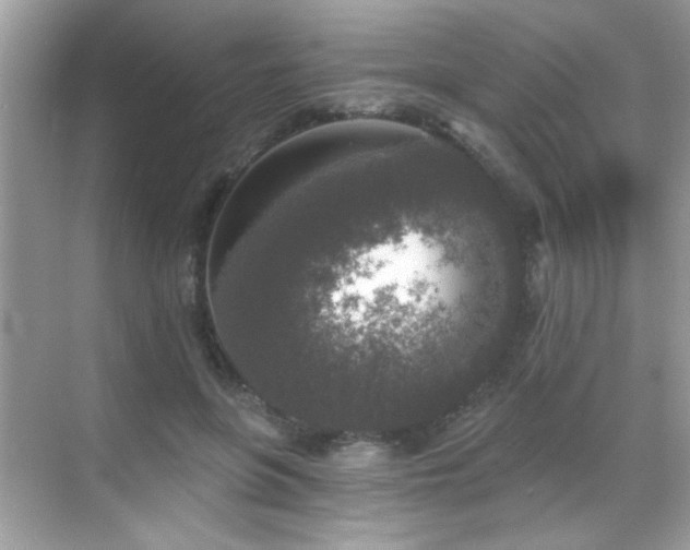 X0000069360551200605121119