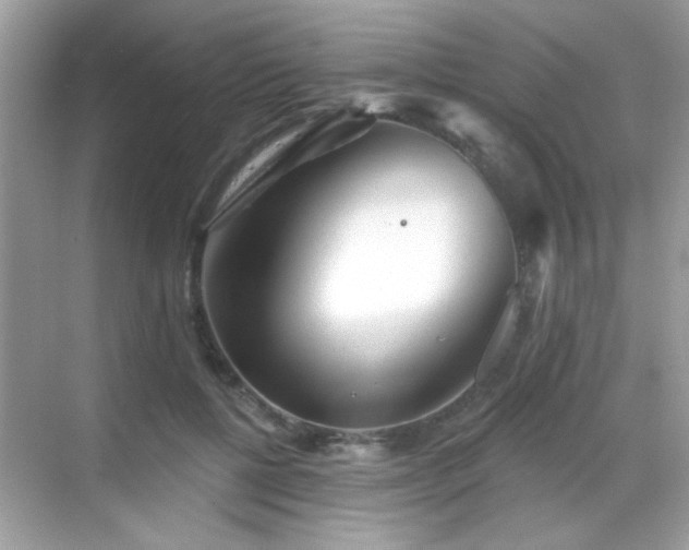 X0000069360552200605121119