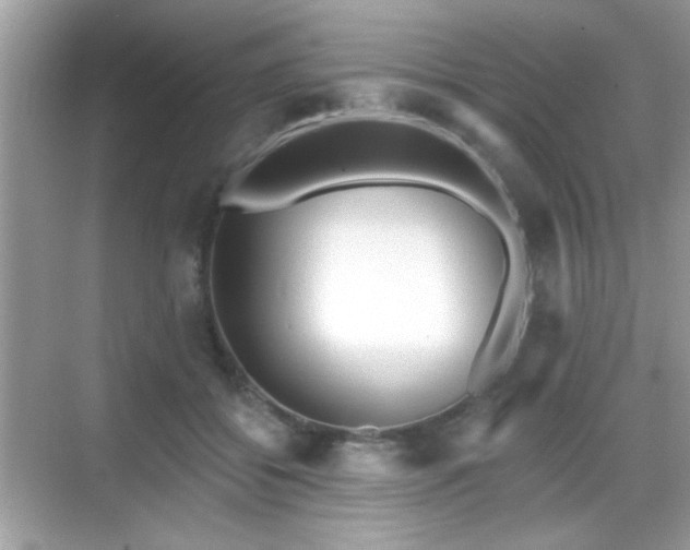 X0000069360556200605121119