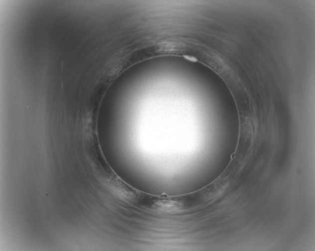 X0000069360557200605121119