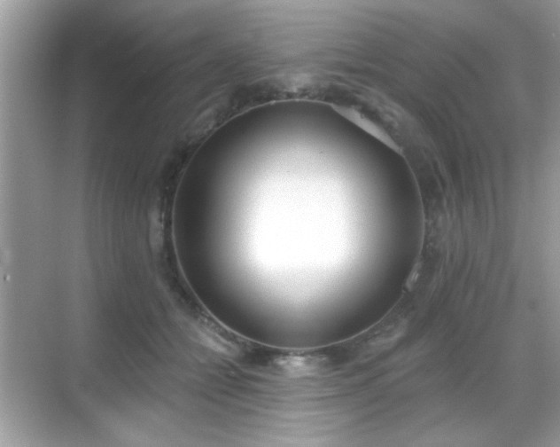 X0000069360558200605121119