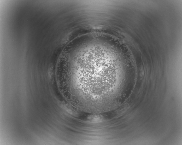 X0000069360559200605121119