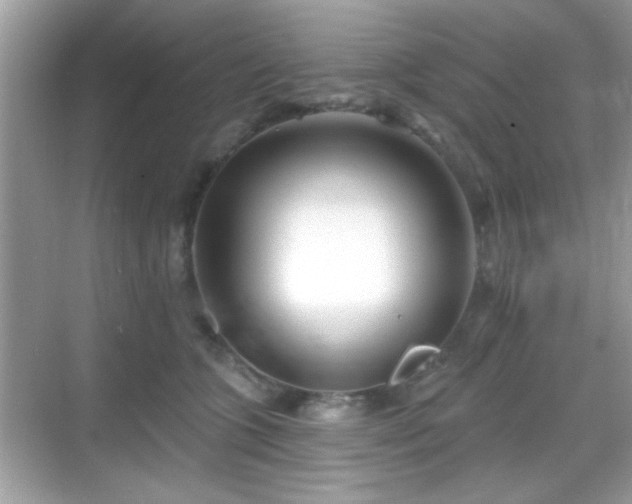 X0000069360563200605121119