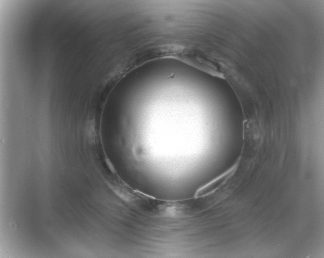 X0000069360564200605121119