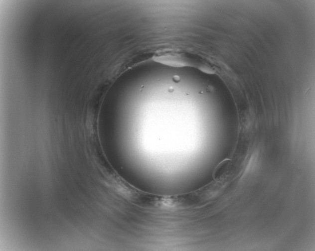 X0000069360565200605121119