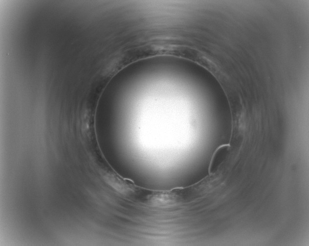 X0000069360567200605121119