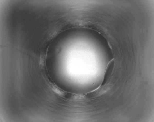 X0000069360576200605121120