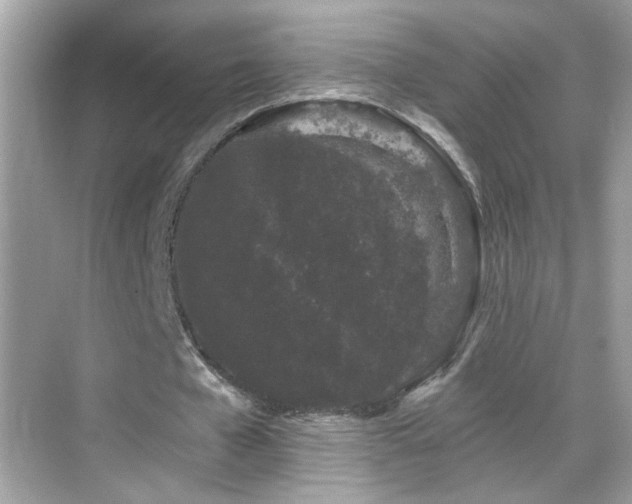 X0000069360577200605121119