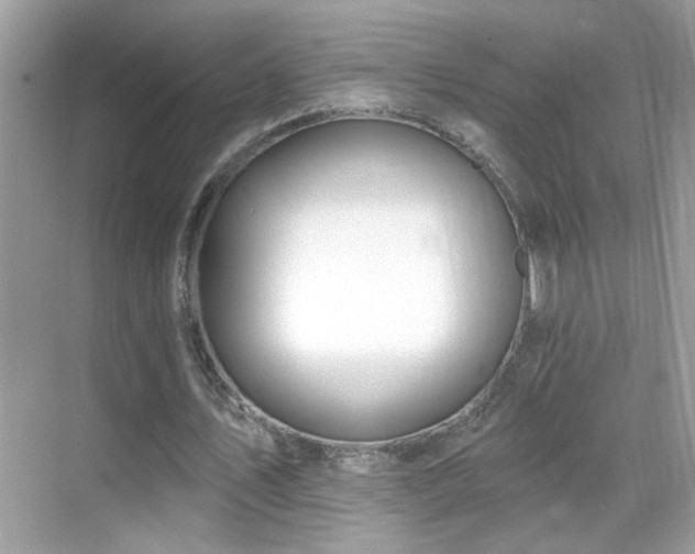 X0000069360579200605121119