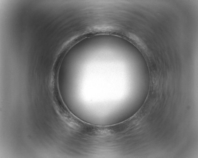 X0000069360583200605121119