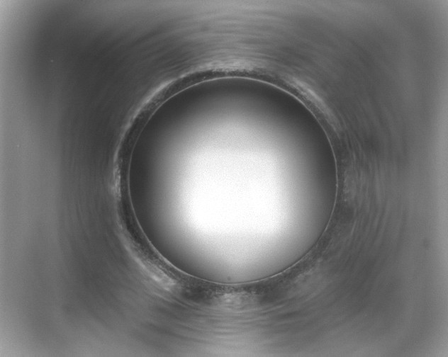 X0000069360584200605121119