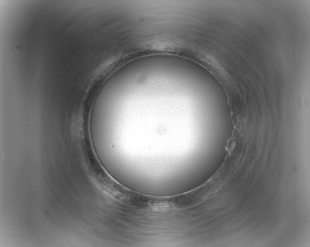 X0000069360587200605121119