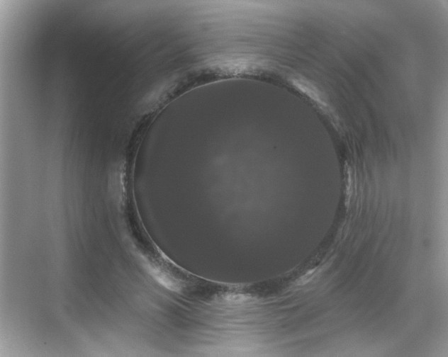 X0000069360590200605121119