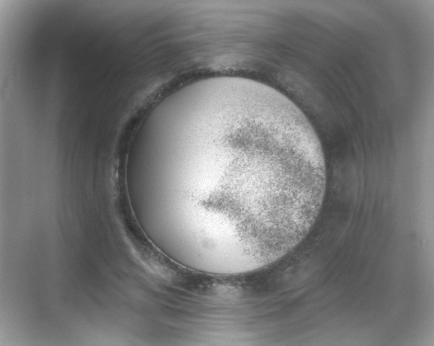 X0000069360592200605121119