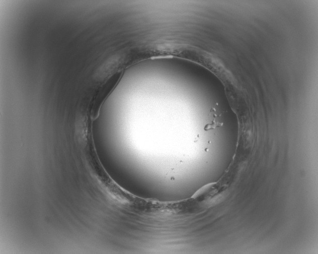 X0000069360593200605121119