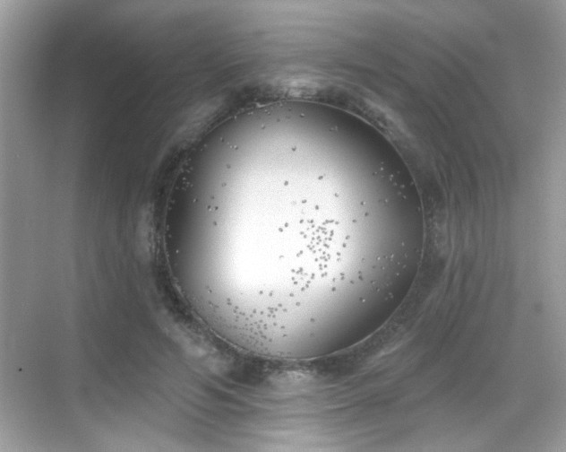 X0000069360594200605121119