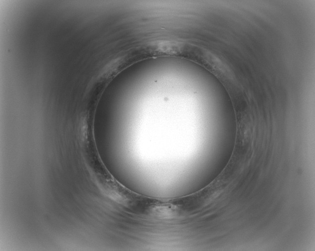 X0000069360595200605121119