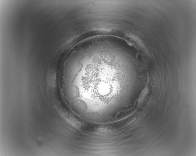 X0000069360596200605121119