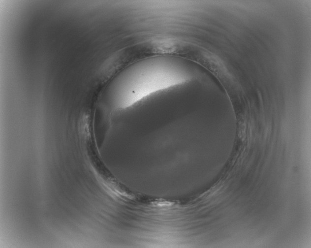 X0000069360598200605121118