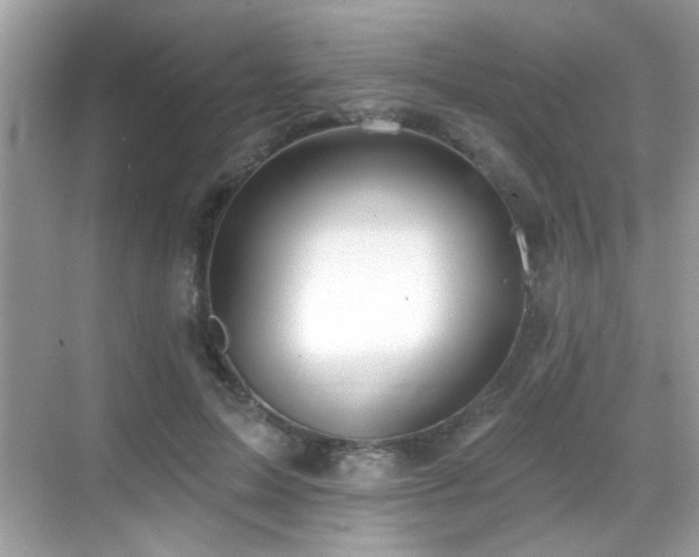 X0000069360599200605121118