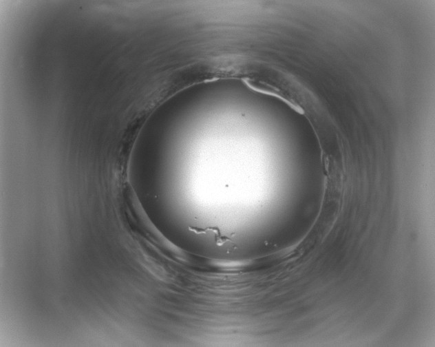 X0000069360601200605121118