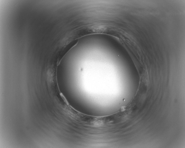 X0000069360604200605121118