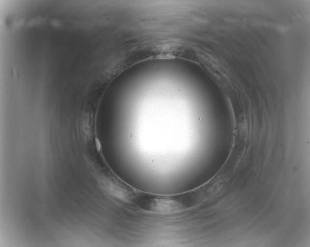 X0000069360605200605121118